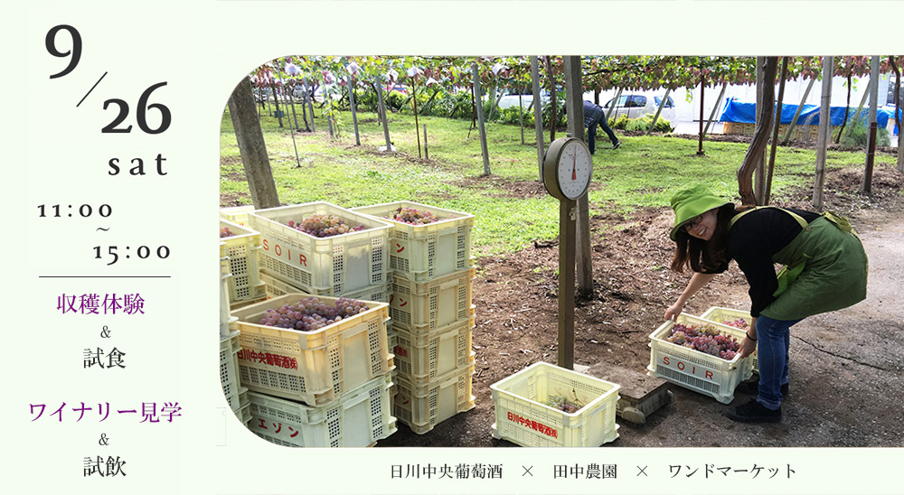 クラフトワインオーナー